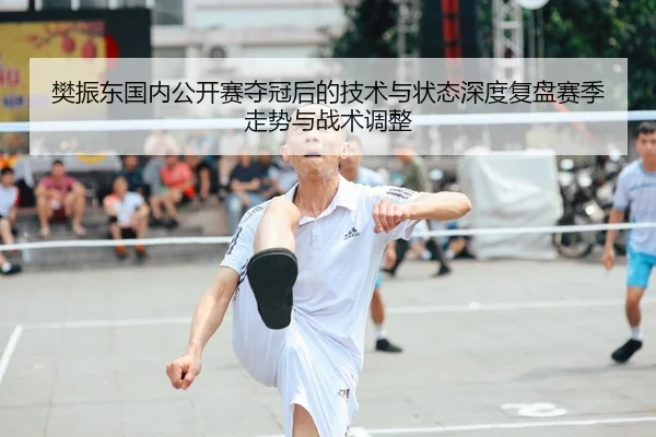 樊振东国内公开赛夺冠后的技术与状态深度复盘赛季走势与战术调整