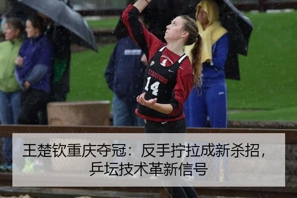 wang-chu-qin-chong-qing-duo-guan-fan-shou-ning-la-cheng-xin-sha-zhao-ping-tan-ji-shu-ge-xin-xin-hao-2-353.jpg